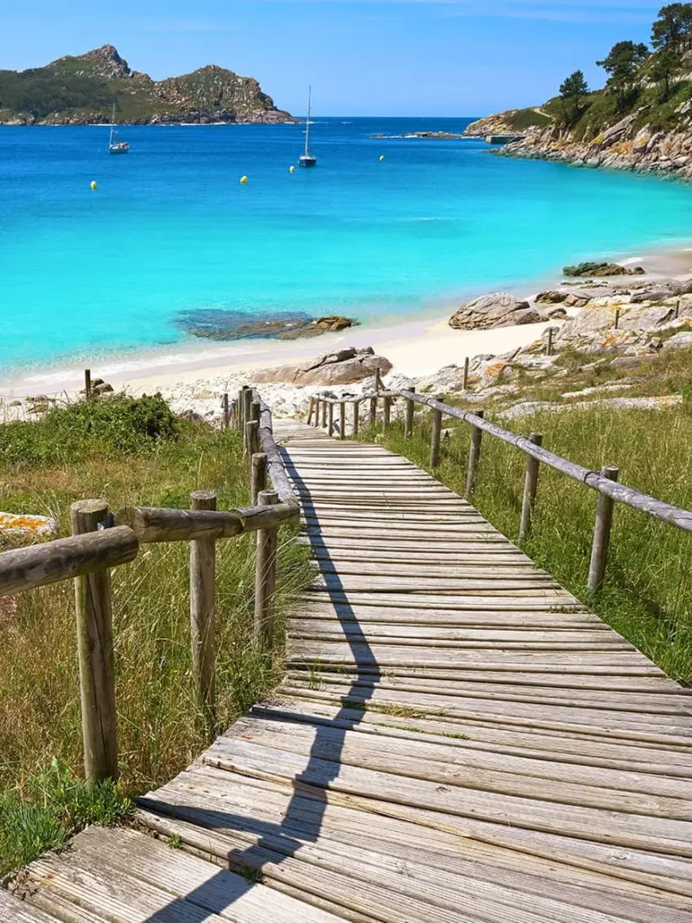 Imagen cies